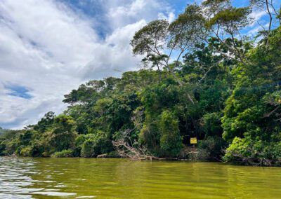 TERRENO EN VENTA SAUCE TARAPOTO LAGUNA AZUL