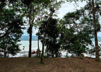 TERRENO EN VENTA SAUCE TARAPOTO LAGUNA AZUL