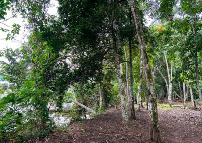 TERRENO EN VENTA SAUCE TARAPOTO LAGUNA AZUL