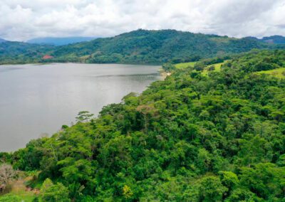 TERRENO EN VENTA SAUCE TARAPOTO LAGUNA AZUL